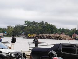 Kati Log Masih Melenggang di Sungai Kapuas