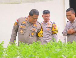 Wujudkan Swasembada Pangan