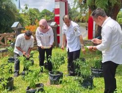 Kepala Badan Kesbangpol, Tinjau Program Tanam Cabai di Area Kantor Bersama Stafnya